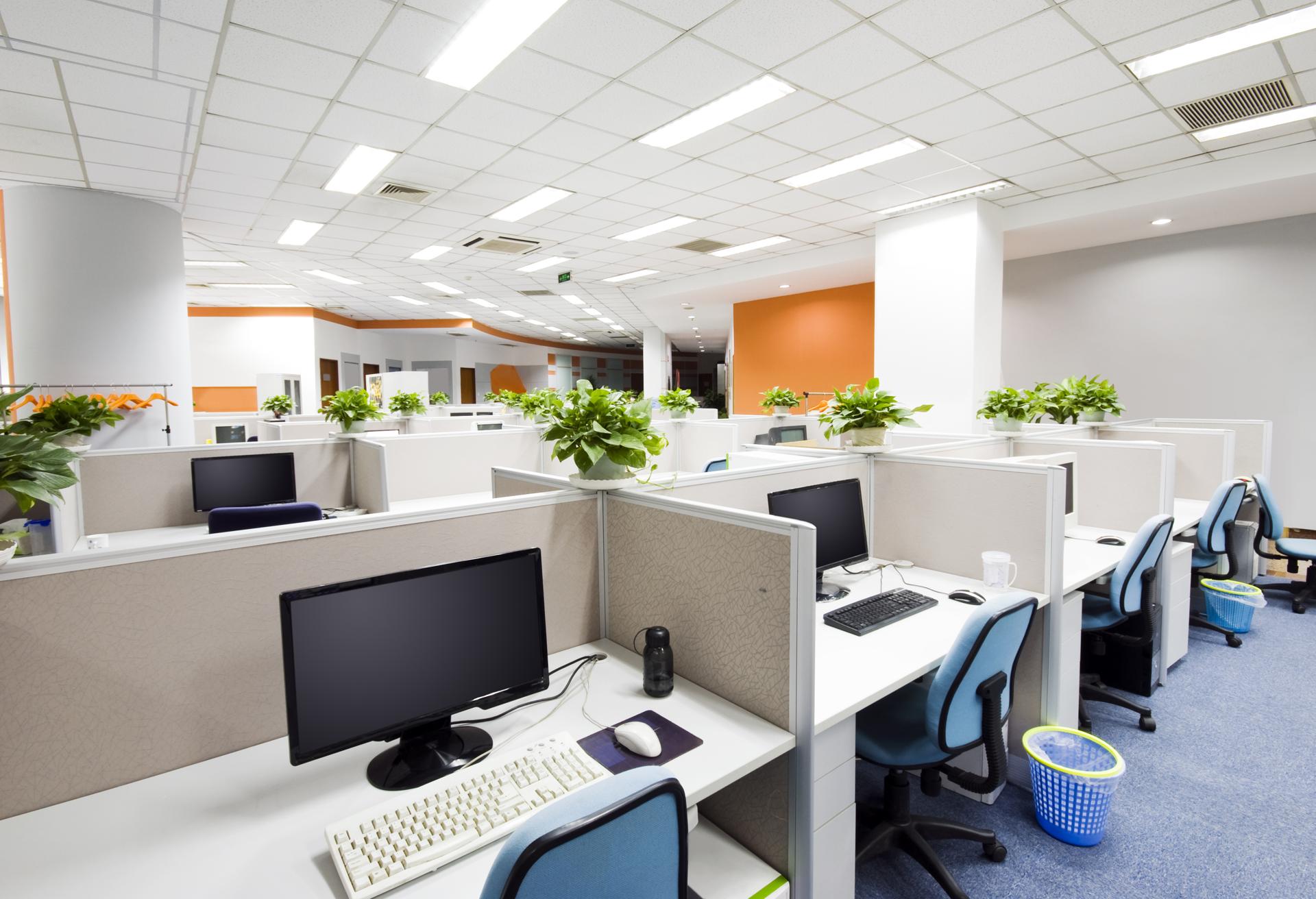 Top Commercial Office Cleaning In Auckland
